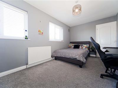 Picture 14